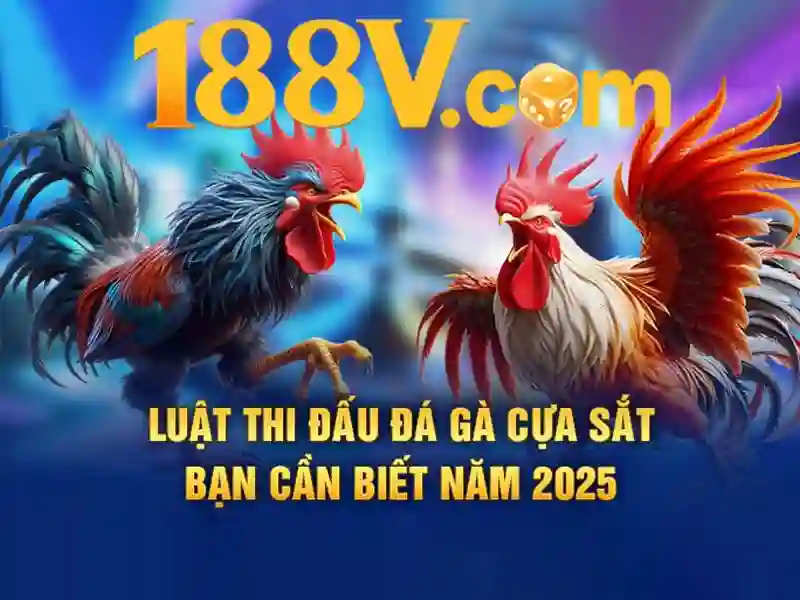 188v: khái niệm và tiềm năng Giao diện nhà cái hoàn hảo