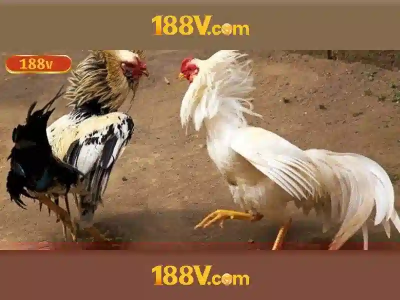 Khám phá 188V: một khái niệm và cảm hứng