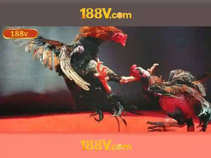 Khám phá nguồn gốc và sự phát triển của 188v