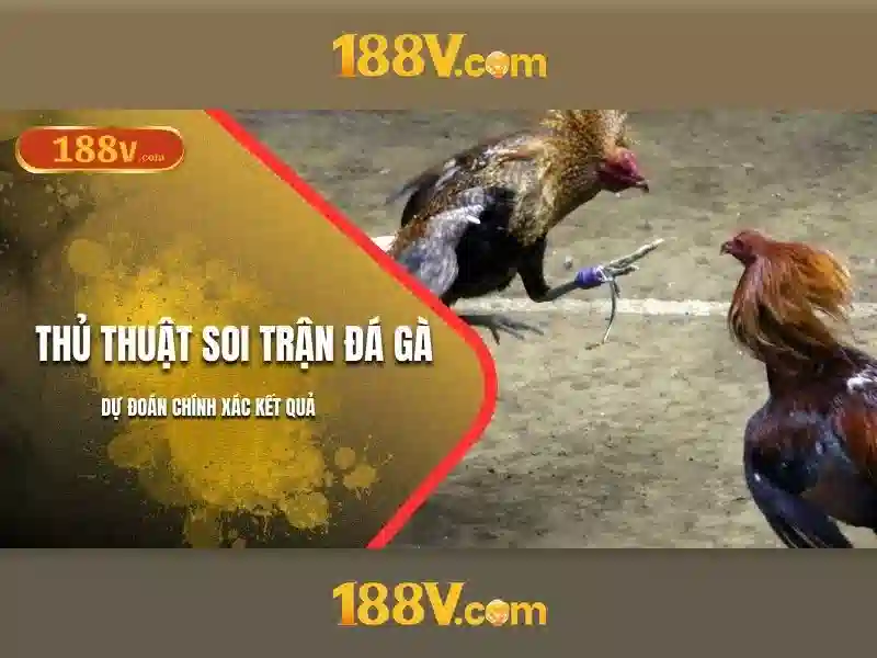 Giao diện nhà cái hoàn hảo