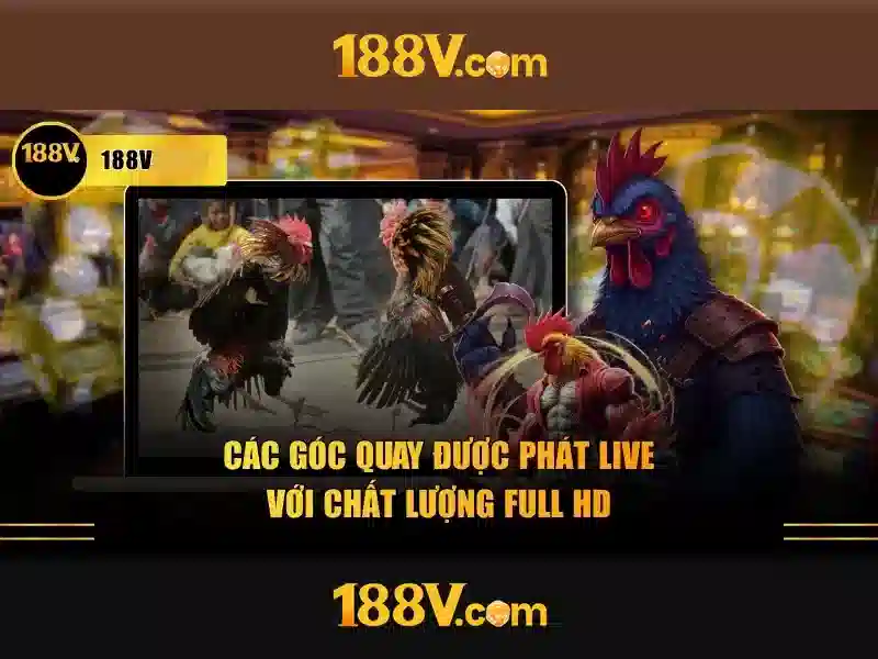 Một số ví dụ về 188v