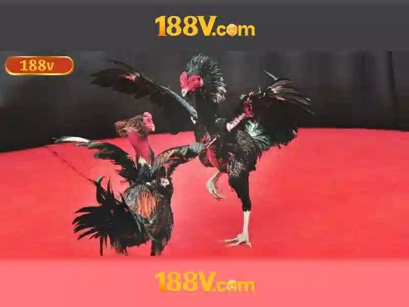 Giao diện nhà cái hoàn hảo