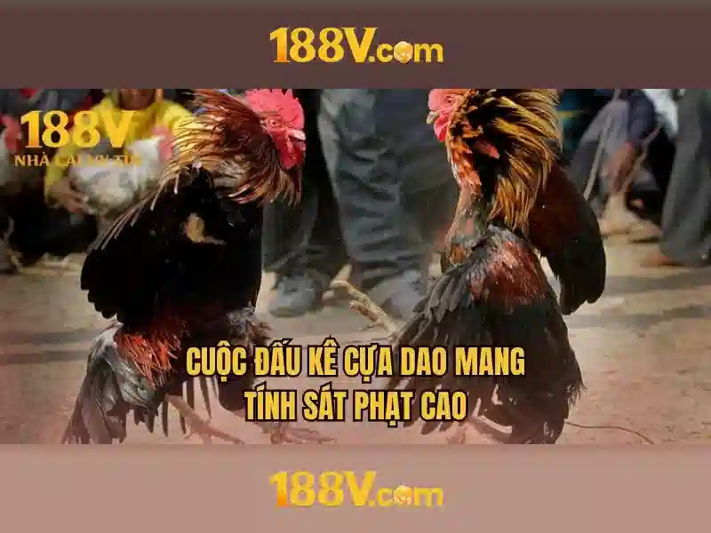 Kiến tạo tương lai với 188v