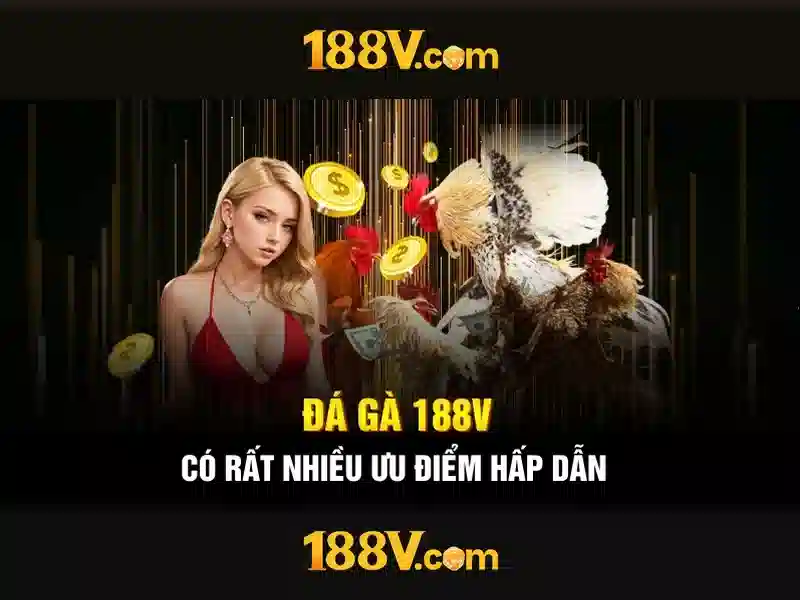 Giao diện nhà cái hoàn hảo