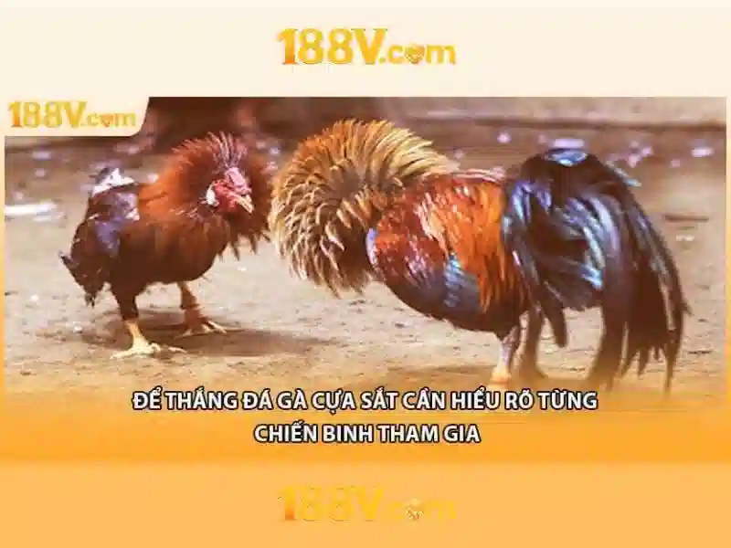 Tác động đến người dùng của 188v