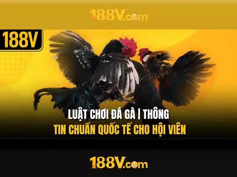 Nguồn gốc và ý nghĩa của 188v