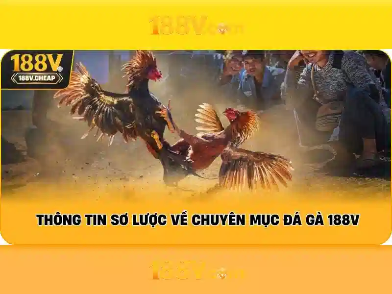 Nguồn gốc và khía cạnh ngôn ngữ