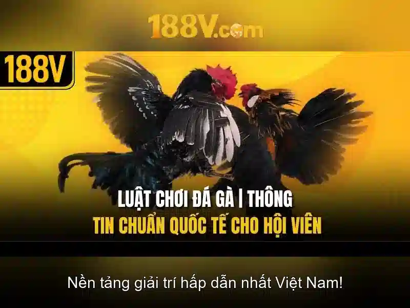 188v và những khía cạnh của nó Giao diện nhà cái hoàn hảo