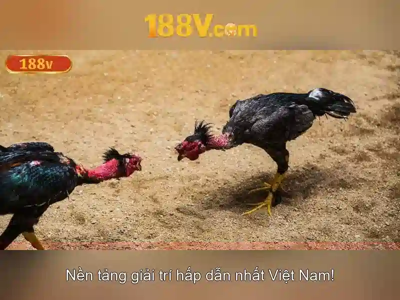 An toàn khi làm việc với 188V 