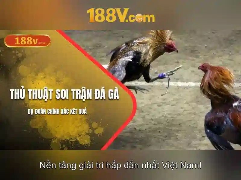 Giao diện nhà cái hoàn hảo