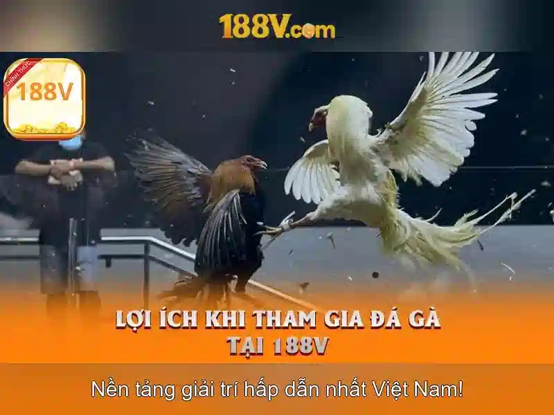 Khám phá cấu trúc của 188v