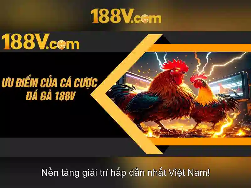 Kiến trúc và tương tác