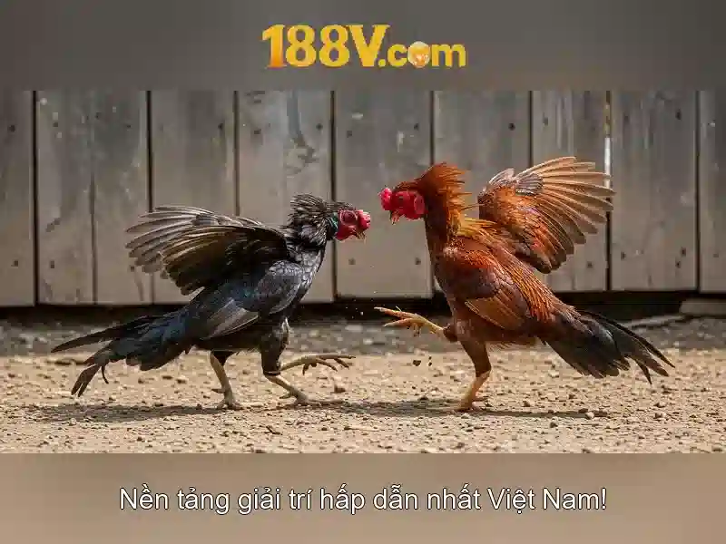 Khám phá 188v: một ký hiệu mang ý nghĩa trong nghệ thuật và thiết kế Giao diện nhà cái hoàn hảo