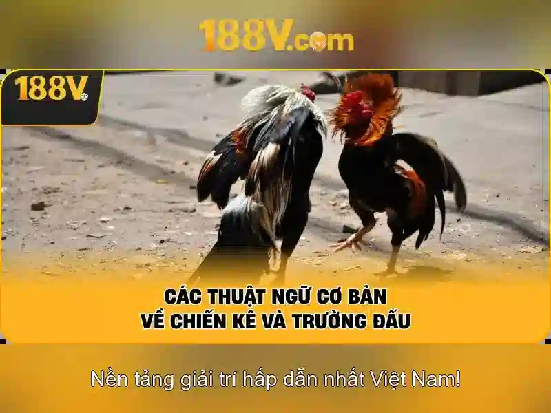 Lịch sử và nguồn gốc của 188v