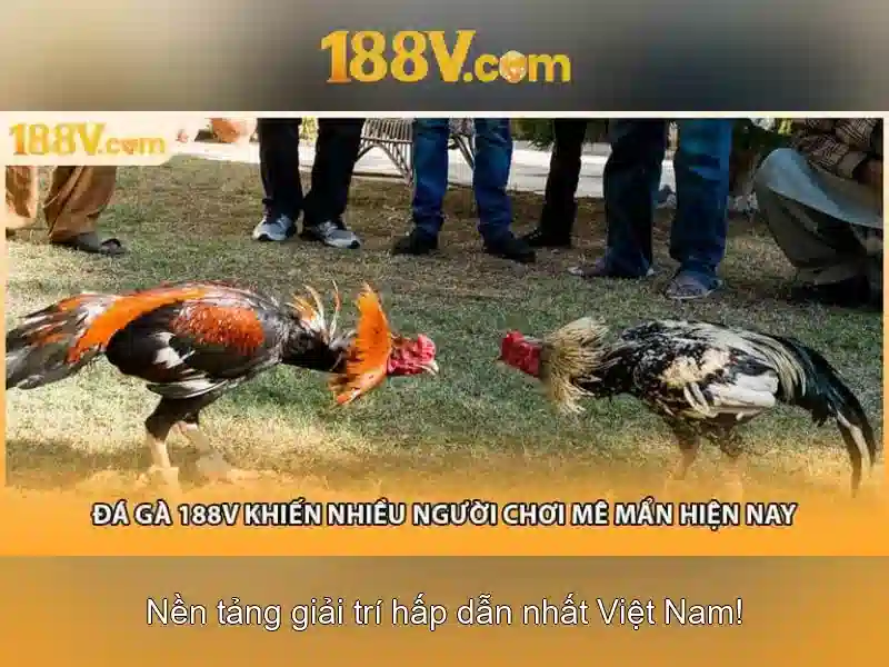 Kết luận về 188v trong tương lai