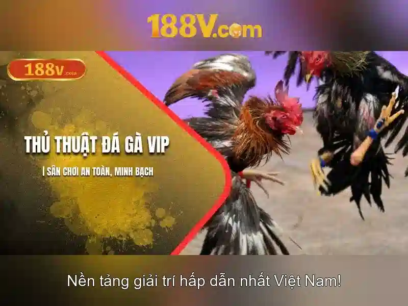 Ứng dụng và ví dụ thực tế của 188v