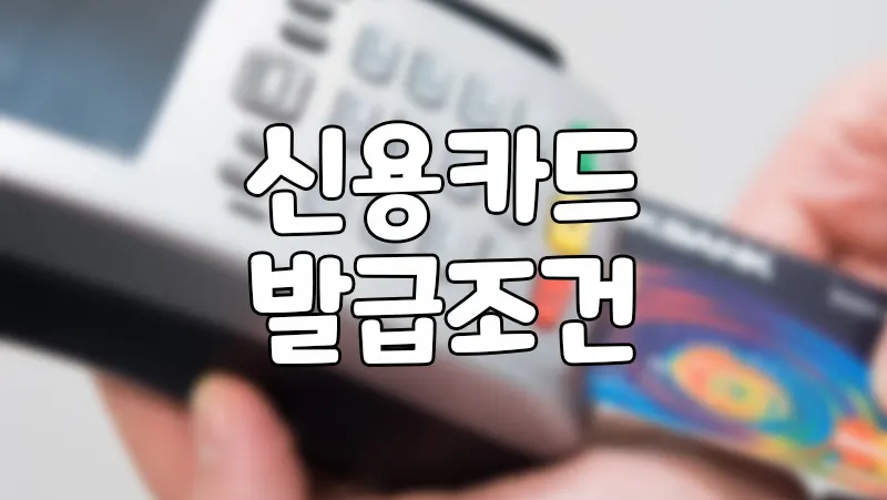 신용카드 발급조건 무직자 기준 / 묻지마발급