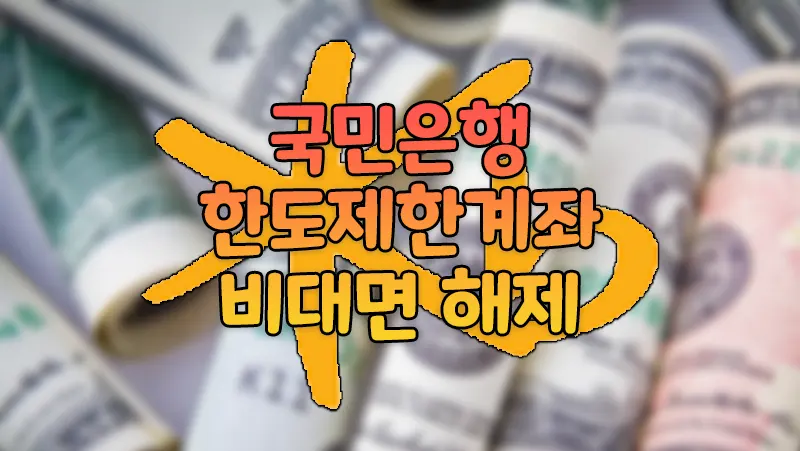 국민은행 한도제한계좌 비대면 해제