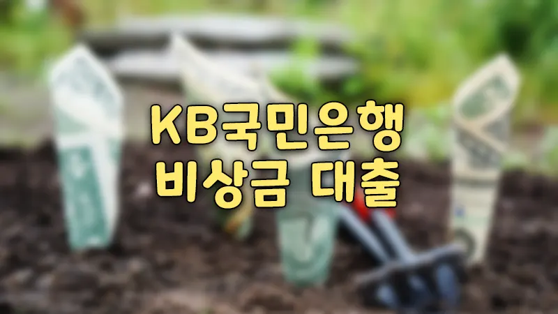 국민은행 비상금 대출