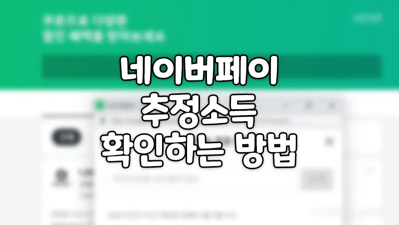 추정소득 네이버페이 나이스지키미 확인하기