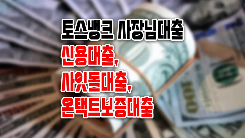 토스뱅크 사장님대출 요약정리 (신용대출, 사잇돌대출, 온택트보증대출)